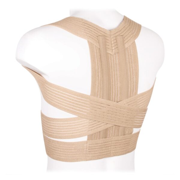 КК-05 Корсет РЕКЛИНАТОР ортопедический, 2 полиуретановых ребра, Экотен, Бежевый