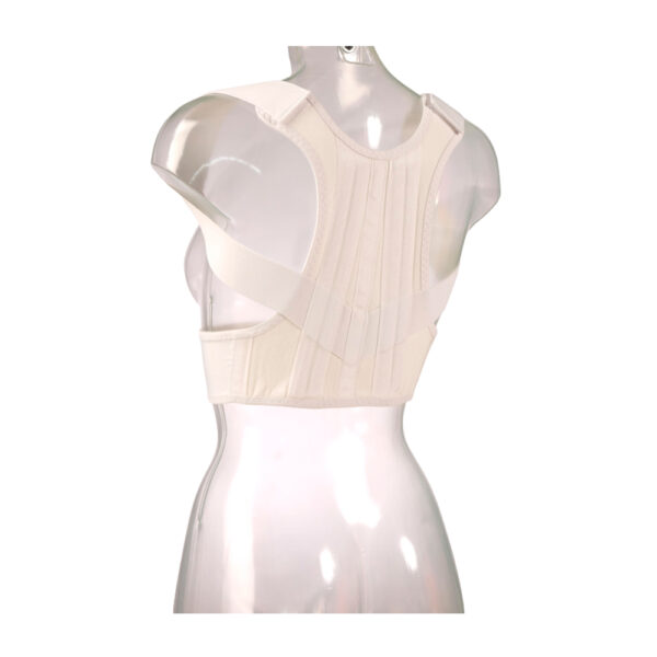 504К Фиксатор осанки