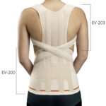 203EV UNI Грудопоясничный модуль Dorso Evotec, Бежевый,  к корсету EV-201 Orliman