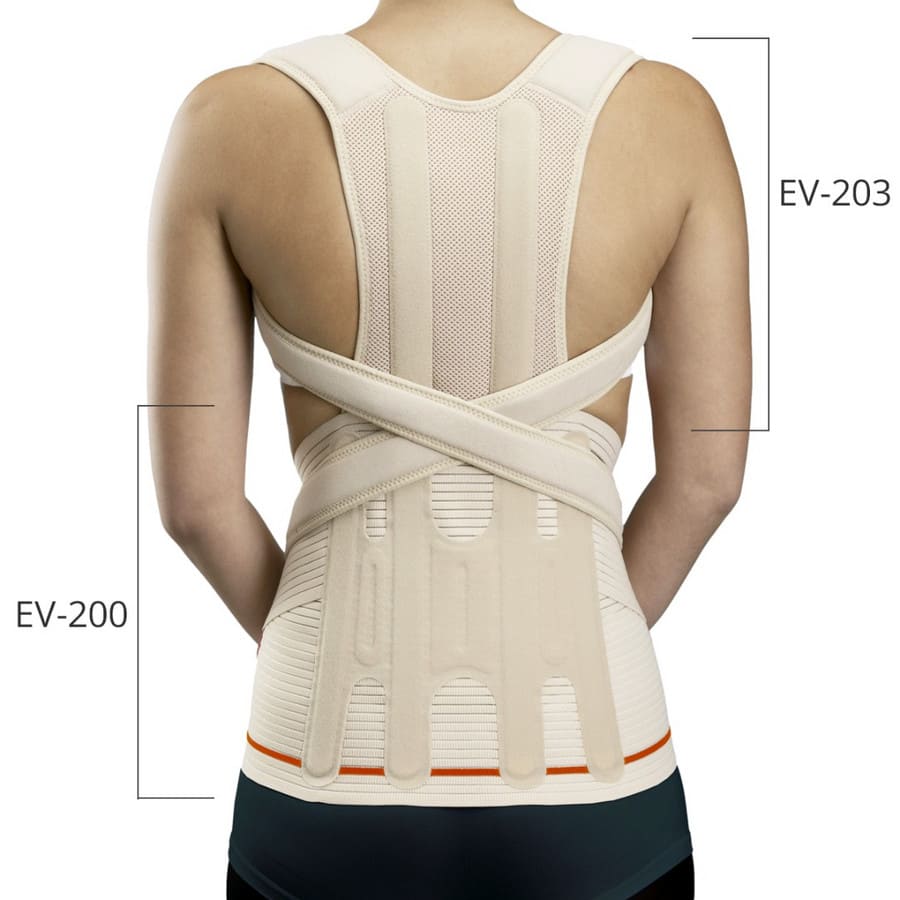 ev-203-1 203EV UNI Грудопоясничный модуль Dorso Evotec, Бежевый, к корсету EV-201 Orliman — изображение 1
